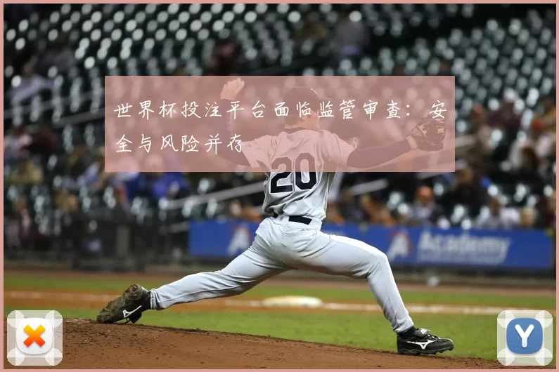 世界杯投注平台面临监管审查：安全与风险并存