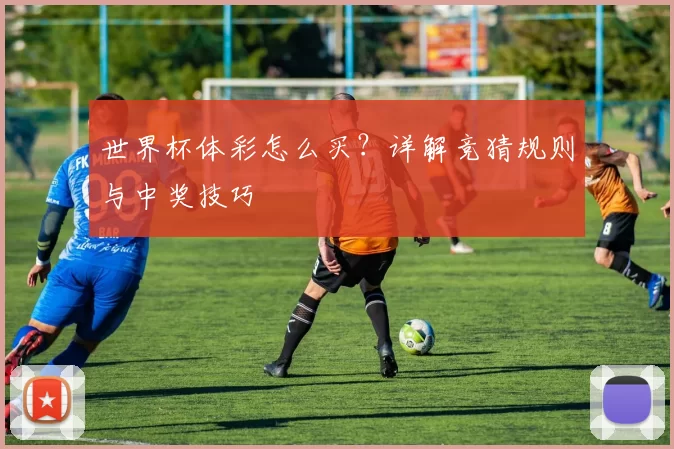 世界杯体彩怎么买？详解竞猜规则与中奖技巧