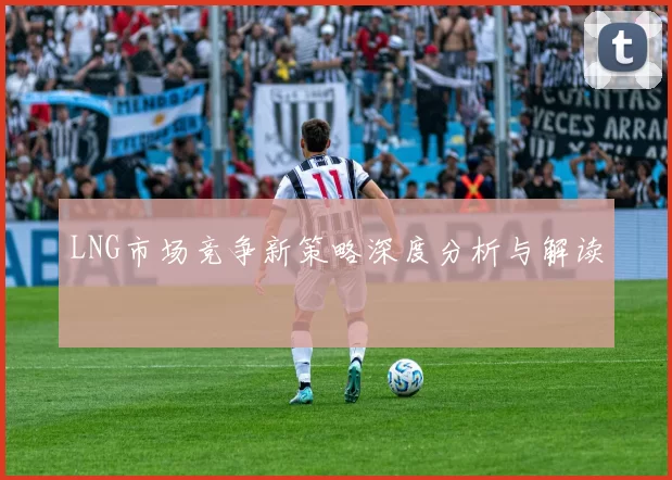 LNG市场竞争新策略深度分析与解读