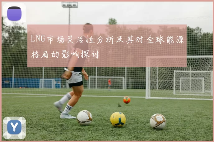 LNG市场灵活性分析及其对全球能源格局的影响探讨