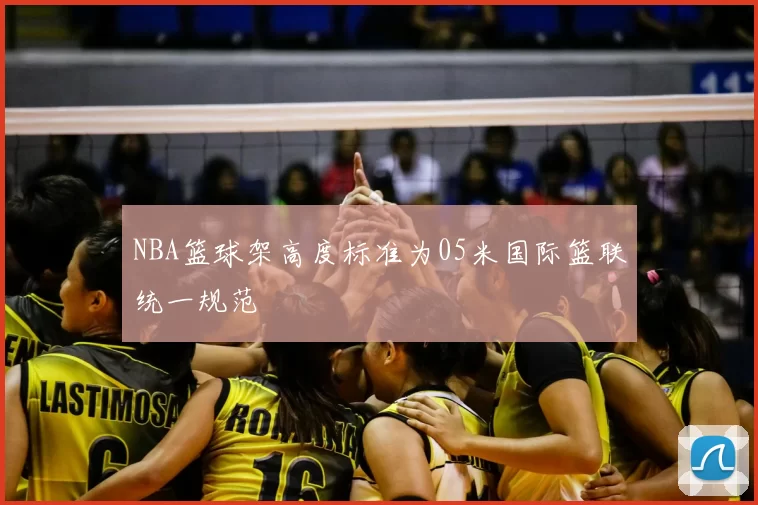 NBA篮球架高度标准为05米国际篮联统一规范