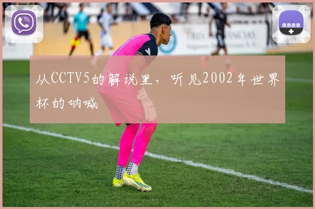 从CCTV5的解说里，听见2002年世界杯的呐喊