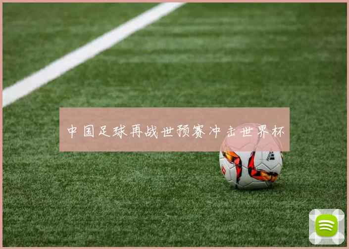 中国足球再战世预赛冲击世界杯