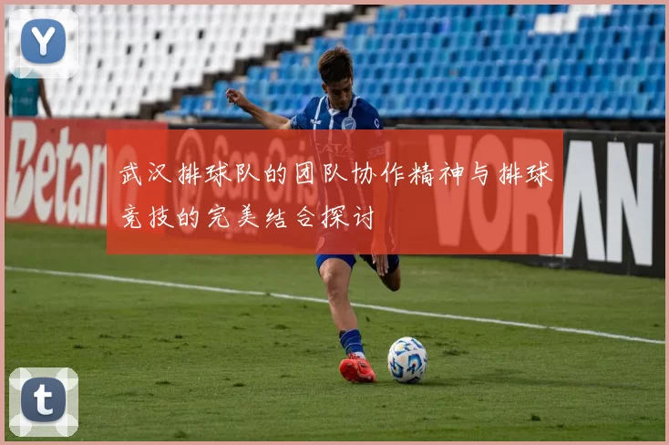 武汉排球队的团队协作精神与排球竞技的完美结合探讨