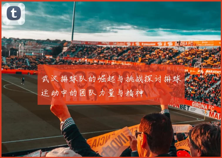 武汉排球队的崛起与挑战探讨排球运动中的团队力量与精神