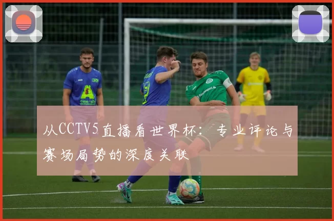 从CCTV5直播看世界杯：专业评论与赛场局势的深度关联