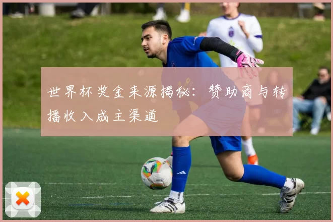 世界杯奖金来源揭秘：赞助商与转播收入成主渠道