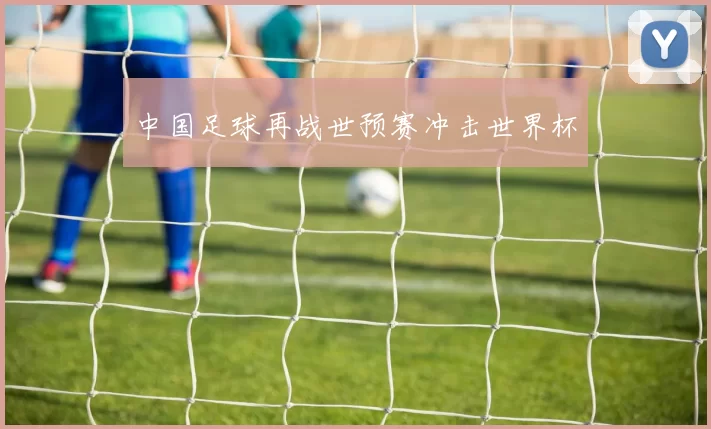 中国足球再战世预赛冲击世界杯