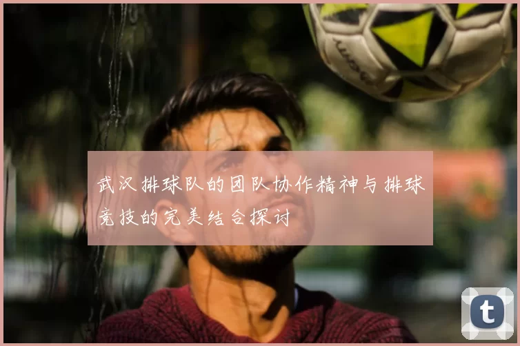 武汉排球队的团队协作精神与排球竞技的完美结合探讨