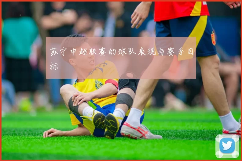 苏宁中超联赛的球队表现与赛季目标