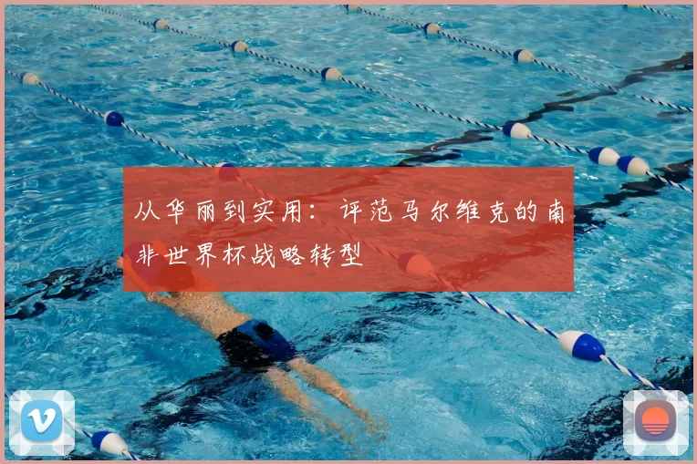 从华丽到实用：评范马尔维克的南非世界杯战略转型