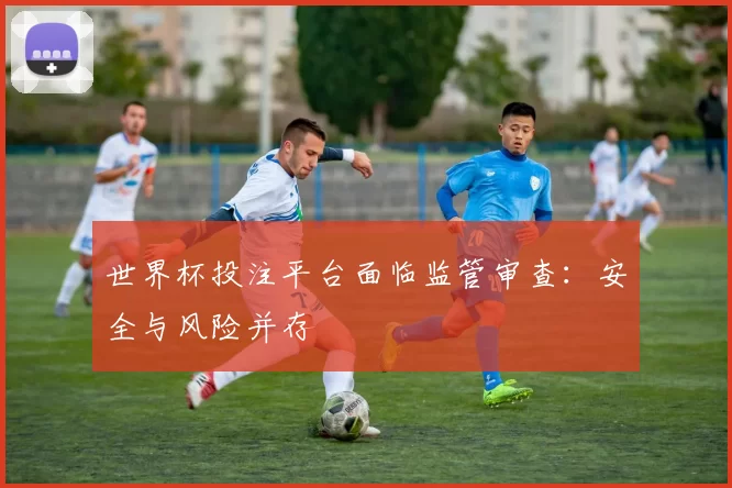 世界杯投注平台面临监管审查：安全与风险并存