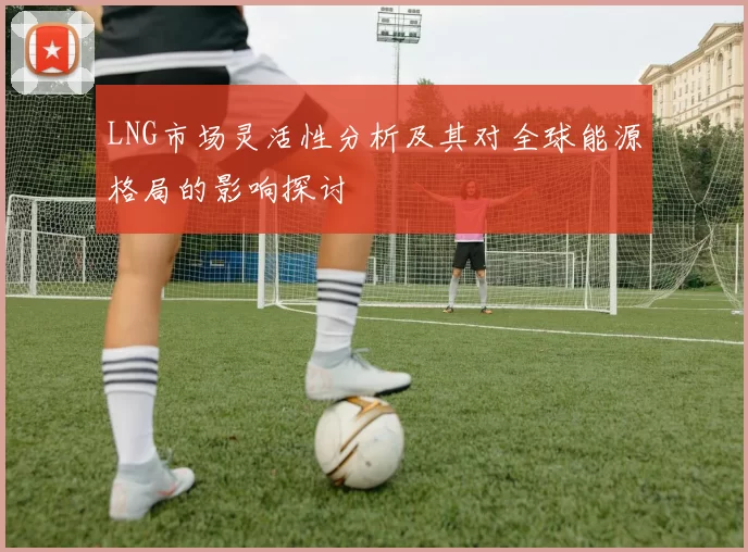 LNG市场灵活性分析及其对全球能源格局的影响探讨