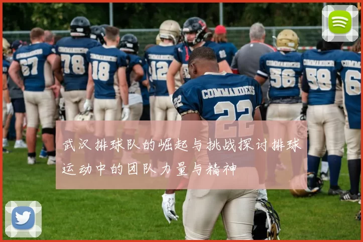 武汉排球队的崛起与挑战探讨排球运动中的团队力量与精神